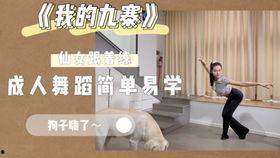 成人舞基础动作教学视频,成人舞基础动作教学视频精华解析