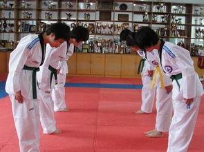 成人跆拳道直播教学视频,跟随专业教练,轻松掌握跆拳道技巧