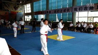 成人跆拳道直播教学视频,跟随专业教练,轻松掌握跆拳道技巧