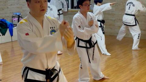 成人跆拳道直播教学视频,跟随专业教练,轻松掌握跆拳道技巧