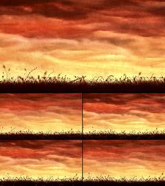 成人摄影夕阳视频,夕阳下的成人摄影艺术之旅