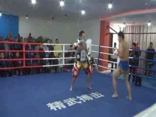 成人自由搏击对打视频,成人自由搏击对打精彩瞬间回顾