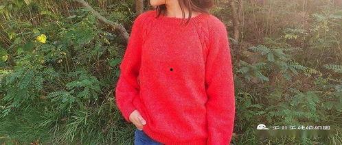 套头成人毛衣视频大全集,轻松学会各式毛衣编织技巧