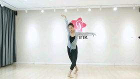 成人学什么舞蹈视频好,精选成人舞蹈视频推荐