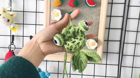 成人兜子钩织教程视频,成人兜子钩织教程视频精华解析