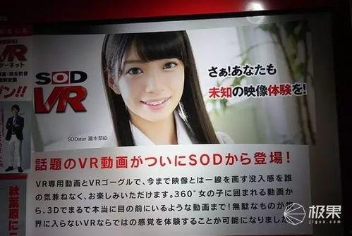 日本东京盛成人网站视频,揭秘日本成人娱乐产业新趋势