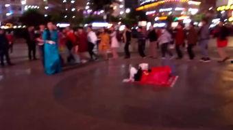 成人男成品舞蹈视频