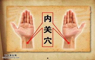 成人退烧艾灸哪里好呢视频,穴位定位与操作指南